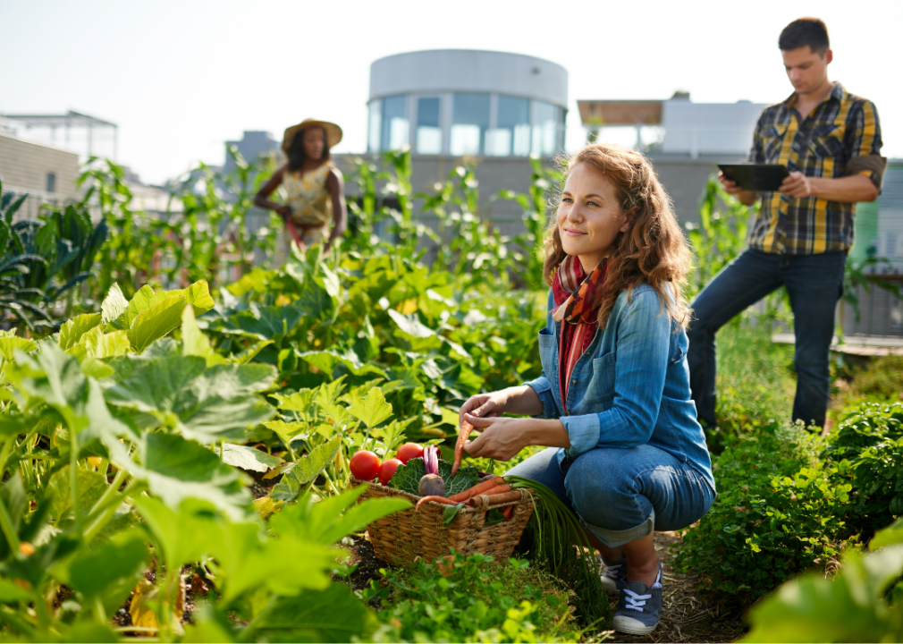 Volunteer in a community garden